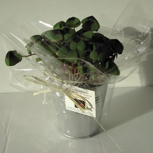 Trèfle à 4 feuilles dans pot en zinc – 2 formats – BONHEUR – Image 5
